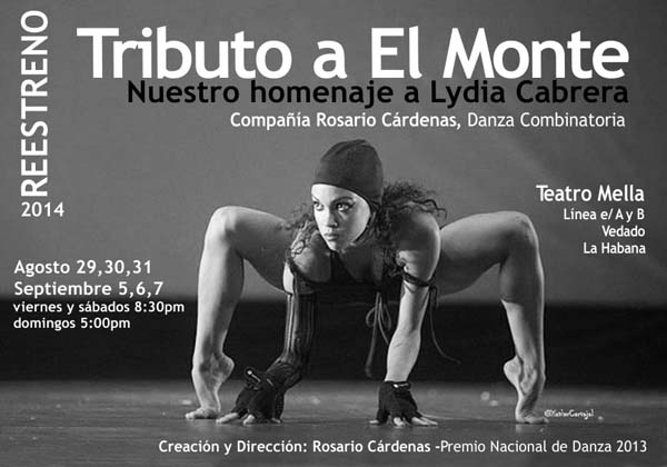 Cartaz deste espectáculo de danza na Habana./ Foto: Xavier Carvajal.