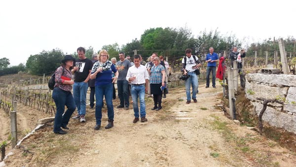 Os 17 Masters of Wine participantes na viaxe, nun dos viñedos da D.O. Ribeiro.