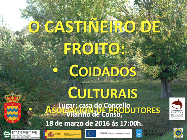 Cartaz da charla promovida polo Concello de Vilariño de Conso.