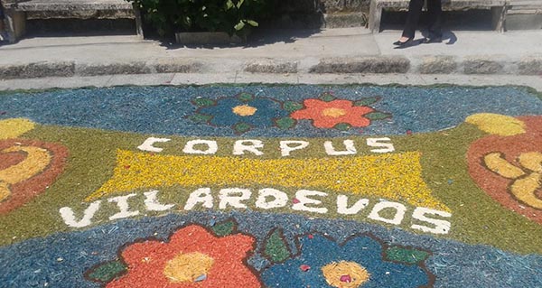 Unha mostra das alfombras florais que protagonizan o Corpus Christi de Vilardevós.