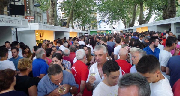 Público asistente á XIX Feira do Viño de Valdeorras, celebrada na fin de semana do 16 e 17 de xullo na praza de Viloira (O Barco). Foto: Ángeles Rodríguez.