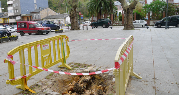 Lugar que ocupaba a árbore caída en abril na praza de Viloira (O Barco)./ Foto: Ángeles Rodríguez.