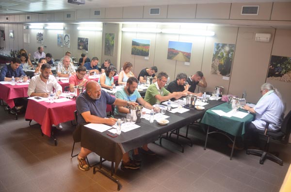 Os sumilleres de Gallaecia durante a cata dos viños valdeorreses./ Foto: Asociación de Sumilleres Gallaecia.