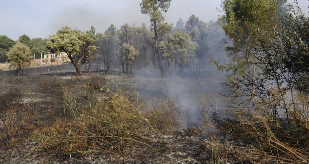 Imaxe dunha das zonas queimadas no incendi odo Serro./ Foto: Carlos G. Hervella.