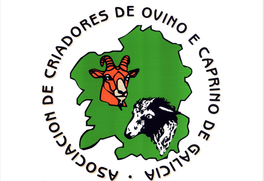 ovica-a-orde-que-incl-e-ao-lobo-no-cat-logo-de-especies-protexidas